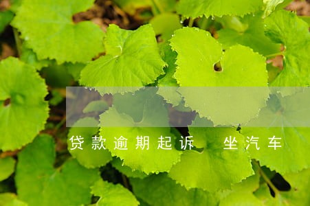 贷款逾期起诉 坐汽车 贷款逾期起诉 坐汽车